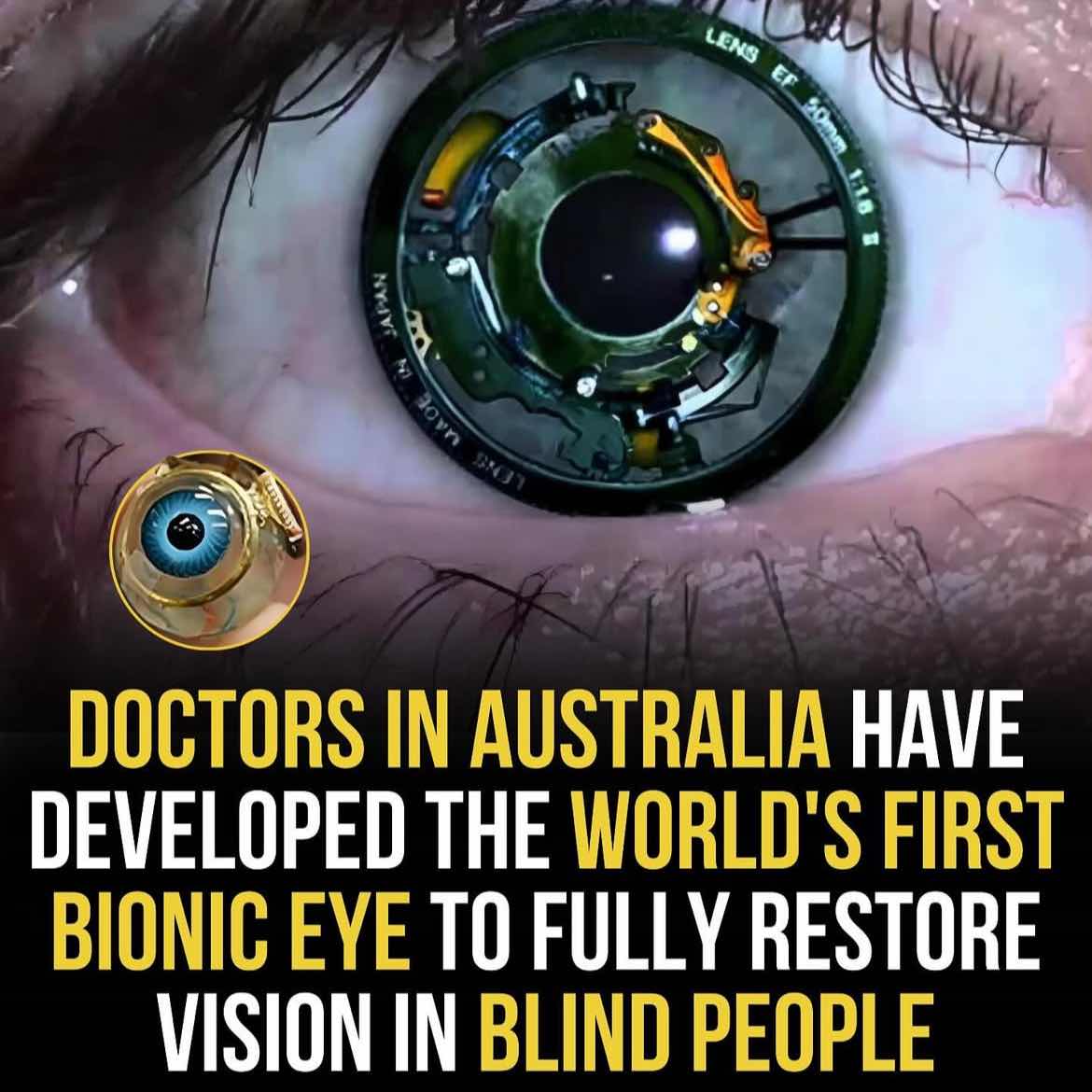 Voolit.com